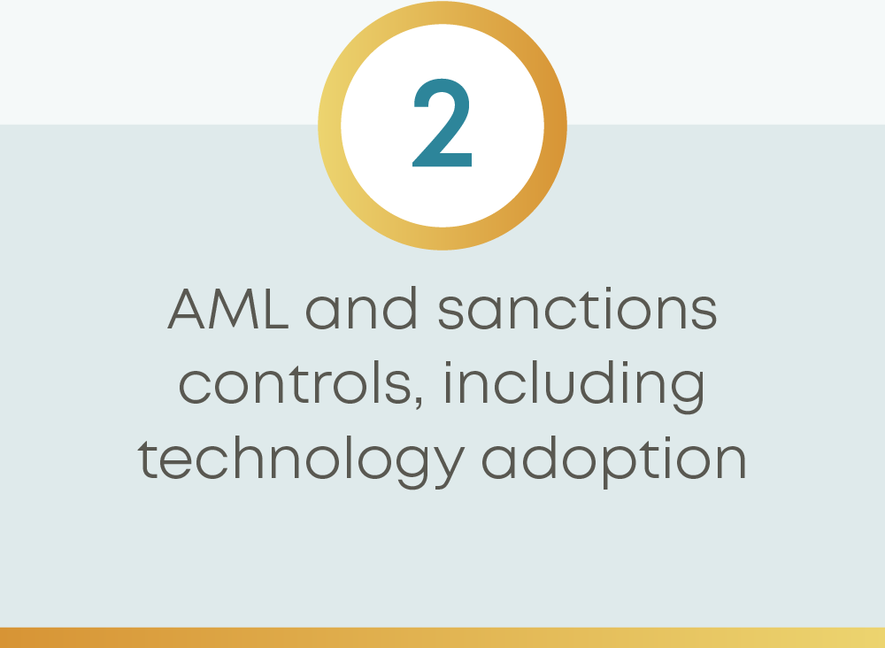 AML and sanctions controls