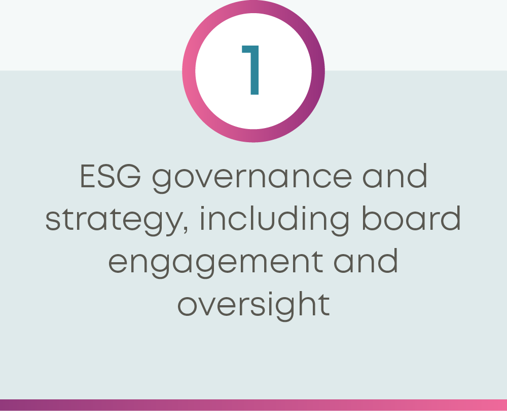 ESG governance and strategy