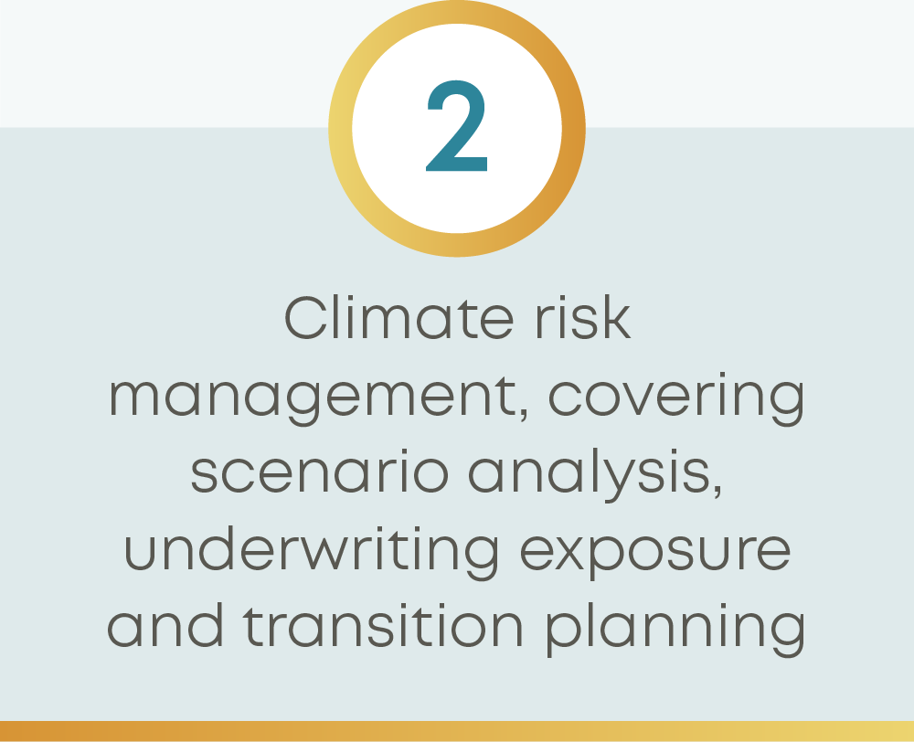 Climate risk management