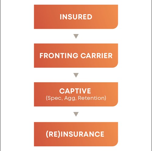 This diagram outlines the general components being Insured, Fronting Carrier, Captive (Spec, Agg, Retention) and Reinsurance.